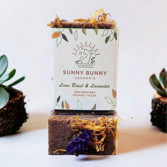 Lime, Lavender, & Basil Soap Bar - Mini