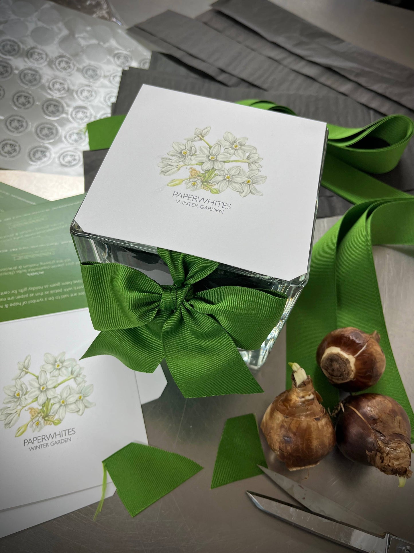 Amaryllis Winter Garden *Preorder