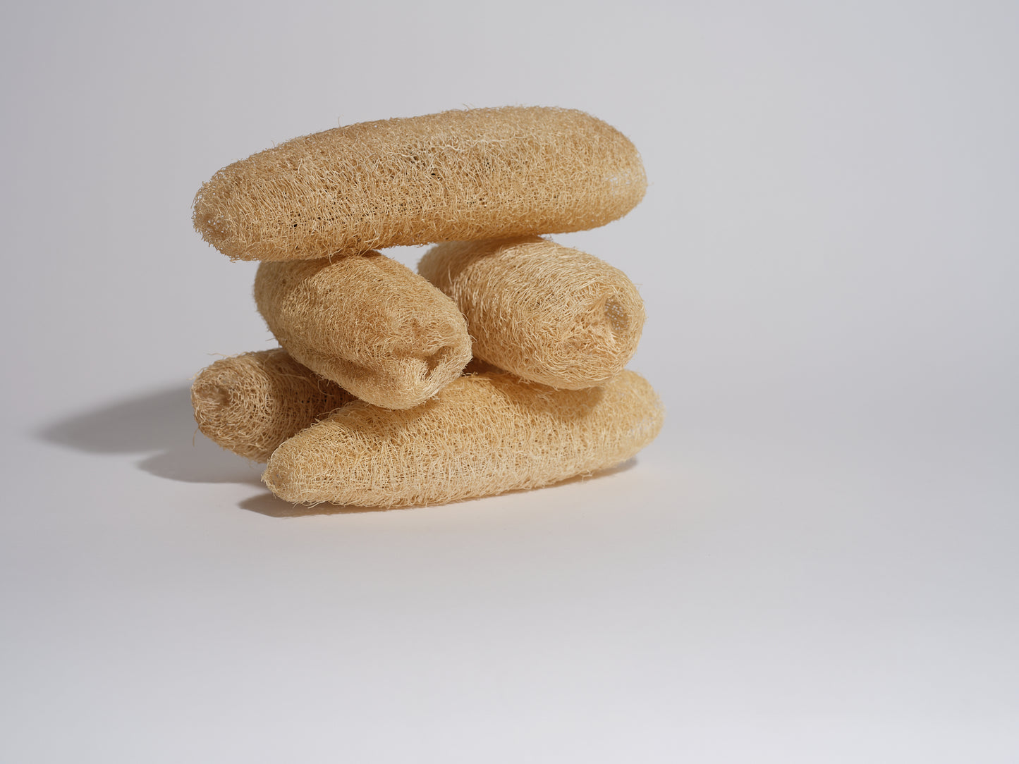 All Natural Loofah