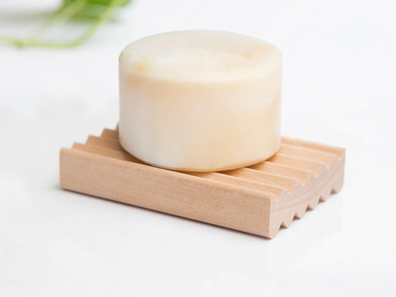 Organic Solid Dish Soap