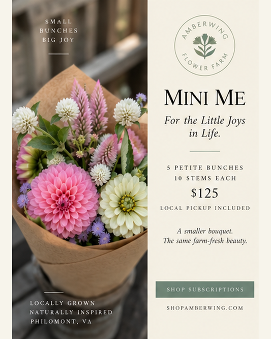 Mini Me 2027 Seasonal Flower Subscription