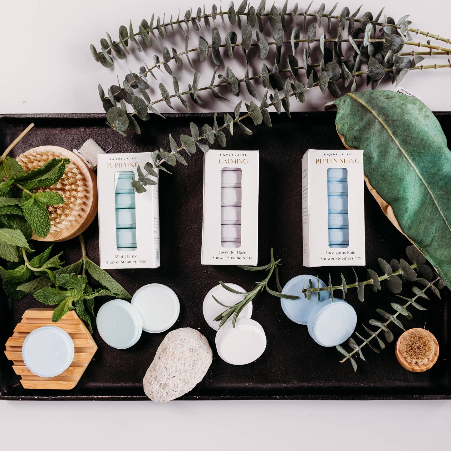 APOTHECARY Shower Steamers