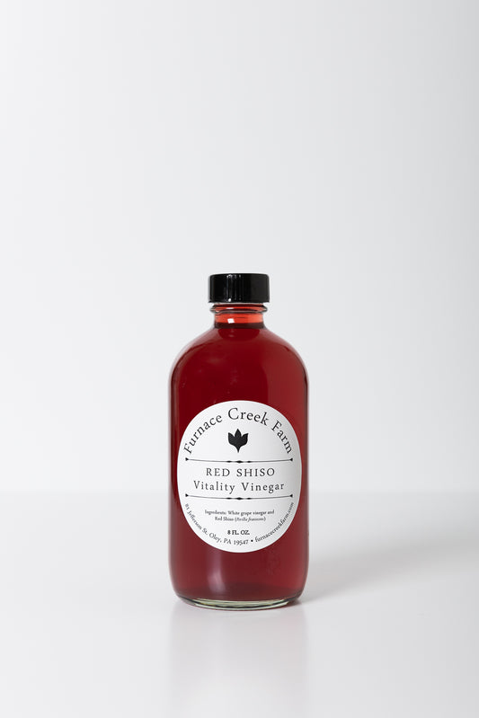 Vitality Vinegar  Red Shiso
